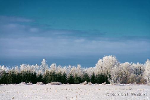 Frosted Landscape_52659.jpg - Photographed east of Ottawa, Ontario - the capital of Canada.